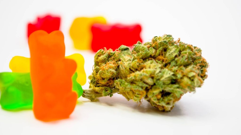 Stress-Free Celebrations: Live Resin Gummies for Festive Occasions